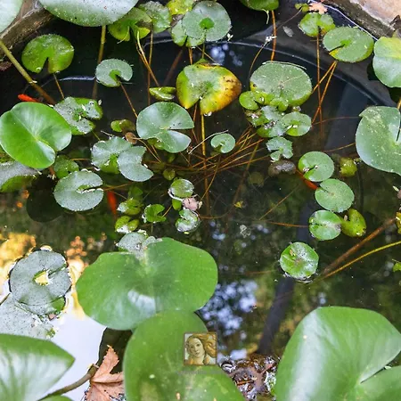 Prázdninový dům The Historical Cypriot House, Beautifully Renovated Traditional Stone House *