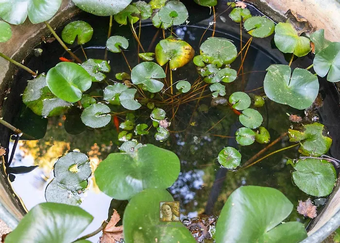 בית נופש The Historical Cypriot House, Beautifully Renovated Traditional Stone House *