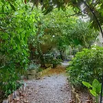 Σπίτι διακοπών The Historical Cypriot House, Beautifully Renovated Traditional Stone House *