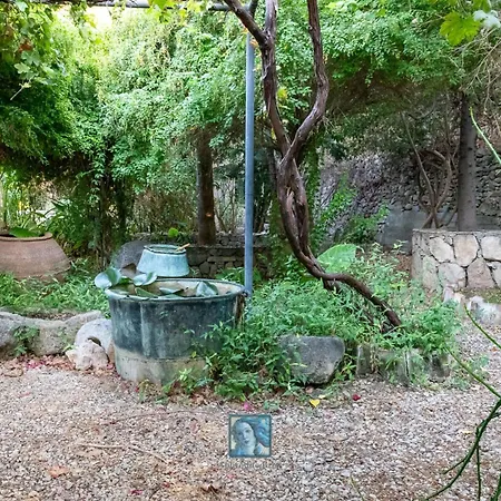 The Historical Cypriot House, Beautifully Renovated Traditional Stone House Dom wakacyjny Agios Ioannis Malountas