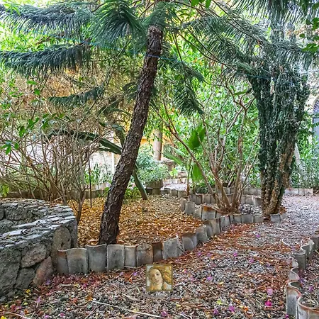 The Historical Cypriot House, Beautifully Renovated Traditional Stone House * Agios Ioannis Malountas