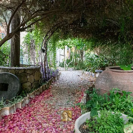 Nyaraló The Historical Cypriot House, Beautifully Renovated Traditional Stone House
