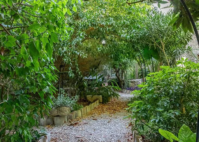 Holiday home The Historical Cypriot House, Beautifully Renovated Traditional Stone House *